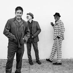 The Specials Ltd - The Specials Tribute Band