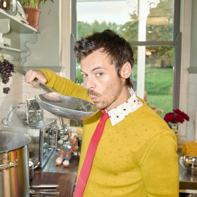 Harry Styles Sao Paulo