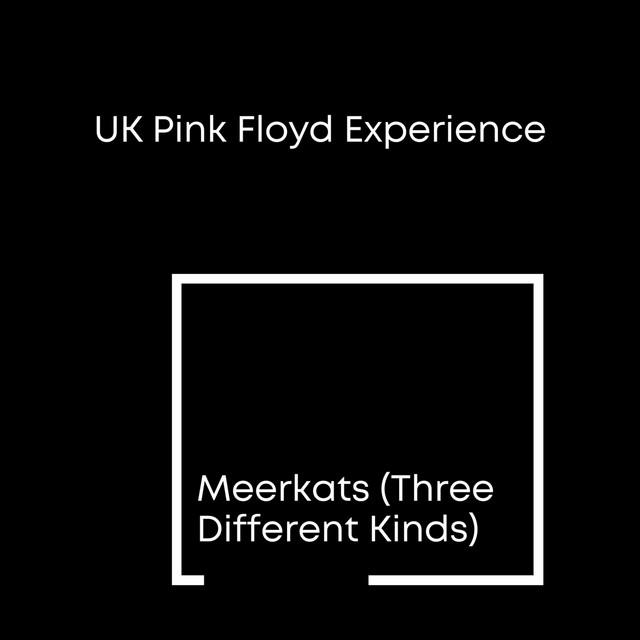 UK Pink Floyd Experience Dunfermline